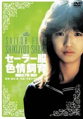 中文字幕电影字幕翻译质量观察